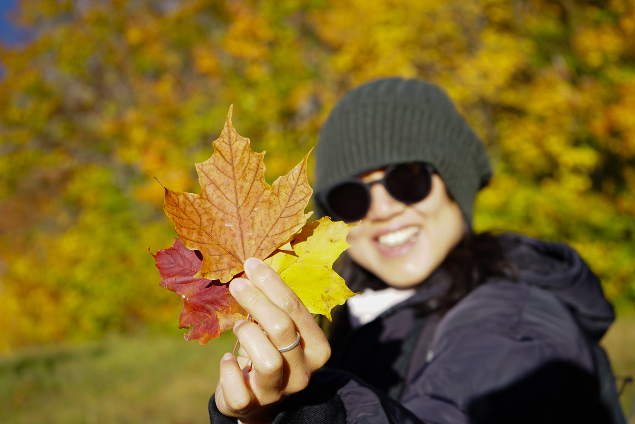Foliage